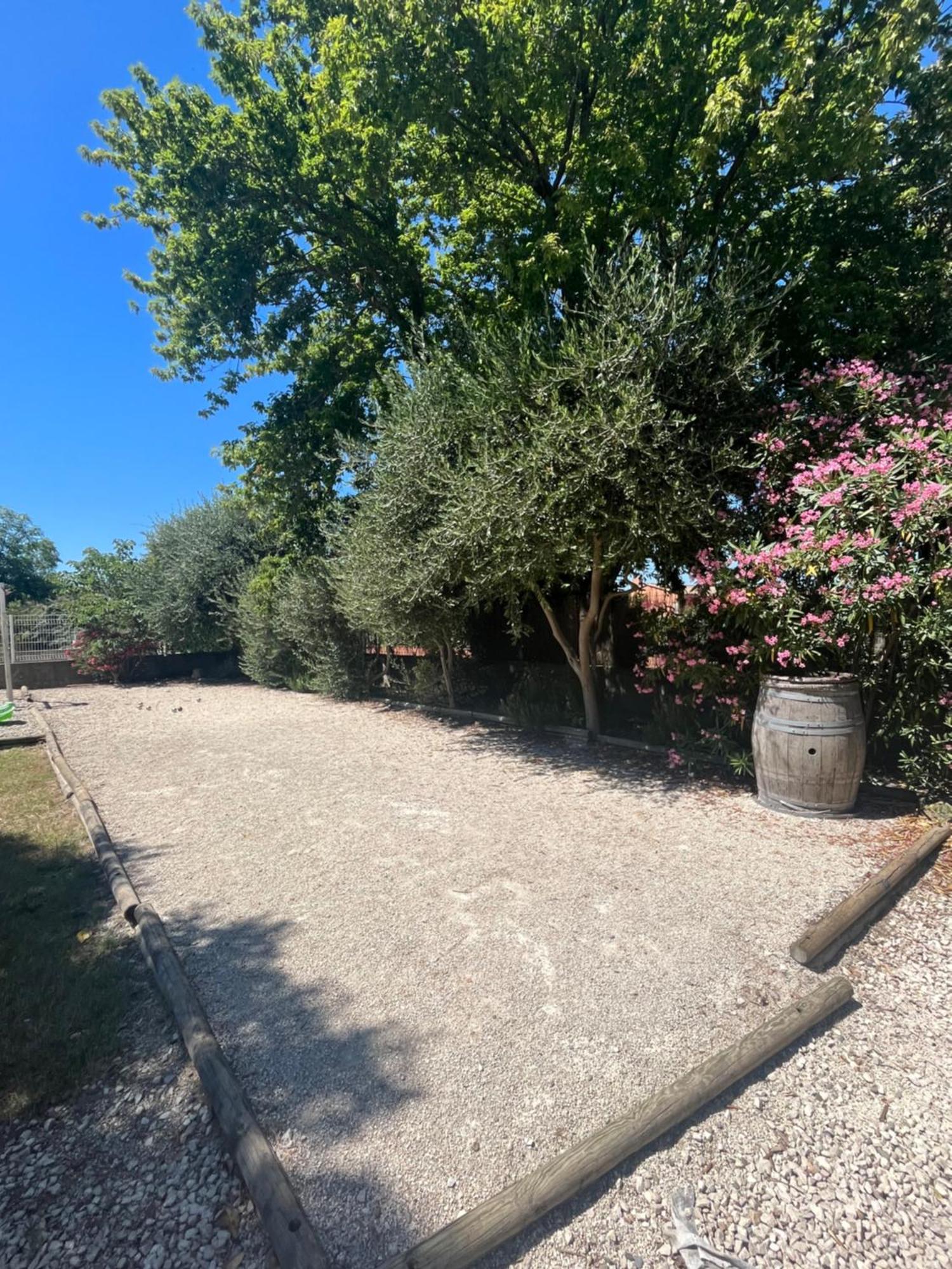 Studio Menthe-Clim-Terrain De Petanque-Piscine Collective Saint-Paul-Trois-Châteaux Buitenkant foto